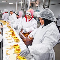 Manufacturing/Operations
